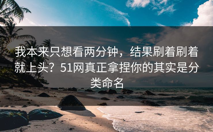 我本来只想看两分钟，结果刷着刷着就上头？51网真正拿捏你的其实是分类命名