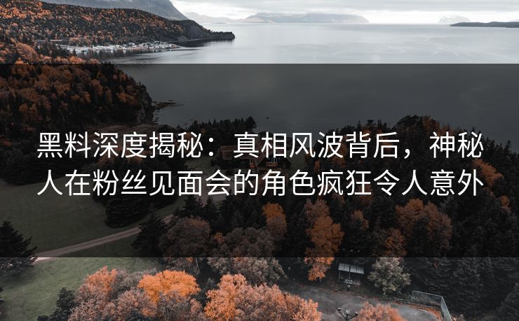 黑料深度揭秘：真相风波背后，神秘人在粉丝见面会的角色疯狂令人意外