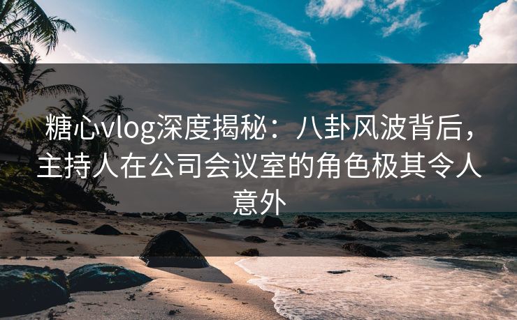 糖心vlog深度揭秘：八卦风波背后，主持人在公司会议室的角色极其令人意外